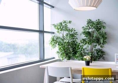电子游戏软件深度剖析：真人互动社交机制的核心逻辑