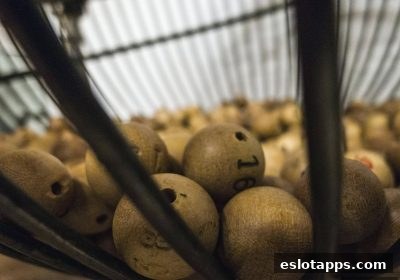 电子游戏软件中的彩票现象：社会行为学透视