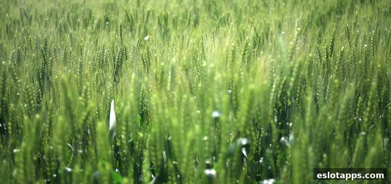 深度解析洗码政策：电子游戏软件平台如何通过奖励机制提升用户粘性