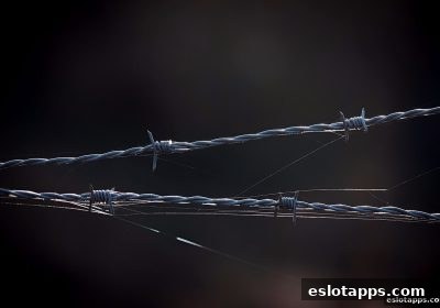 电子游戏软件全球合规框架：监管环境与法律风险深度解析
